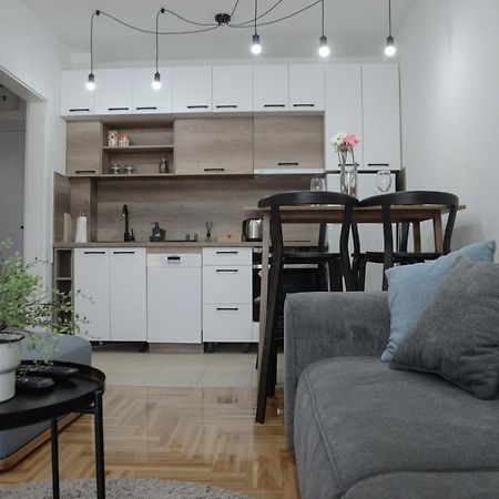 Apartment Dobraya Grey Novi Sad Exterior foto