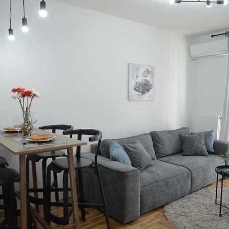 Apartment Dobraya Grey Novi Sad Exterior foto