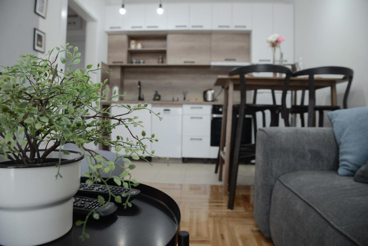 Apartment Dobraya Grey Novi Sad Exterior foto